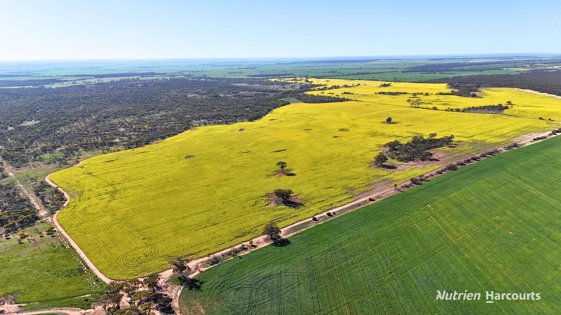 "Bellevue" Lot 14010 Clement Road, Talgomine For Sale by Farmbuy.com - image 3