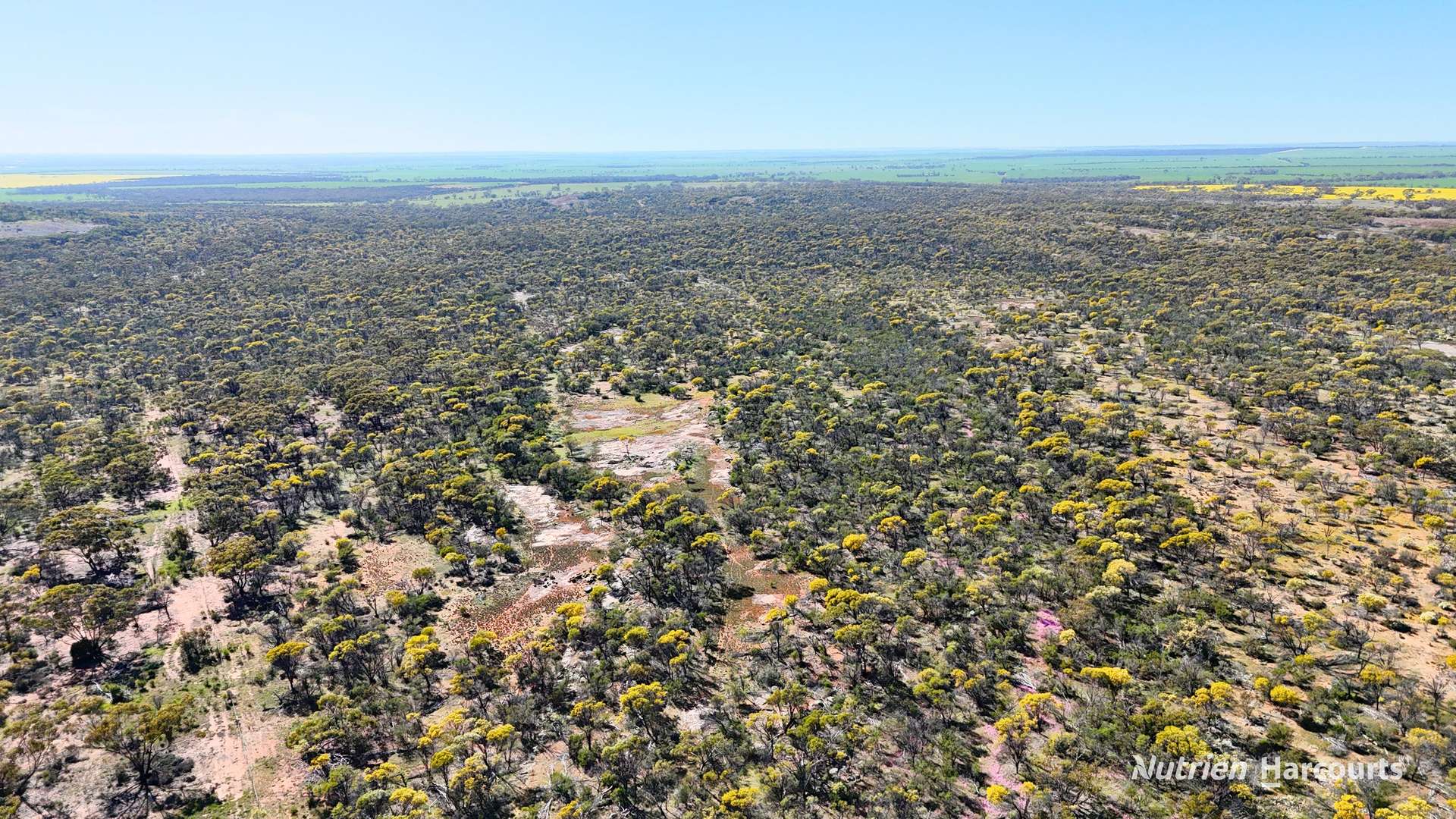 "Bellevue" Lot 14010 Clement Road, Talgomine For Sale by Farmbuy.com - image 6