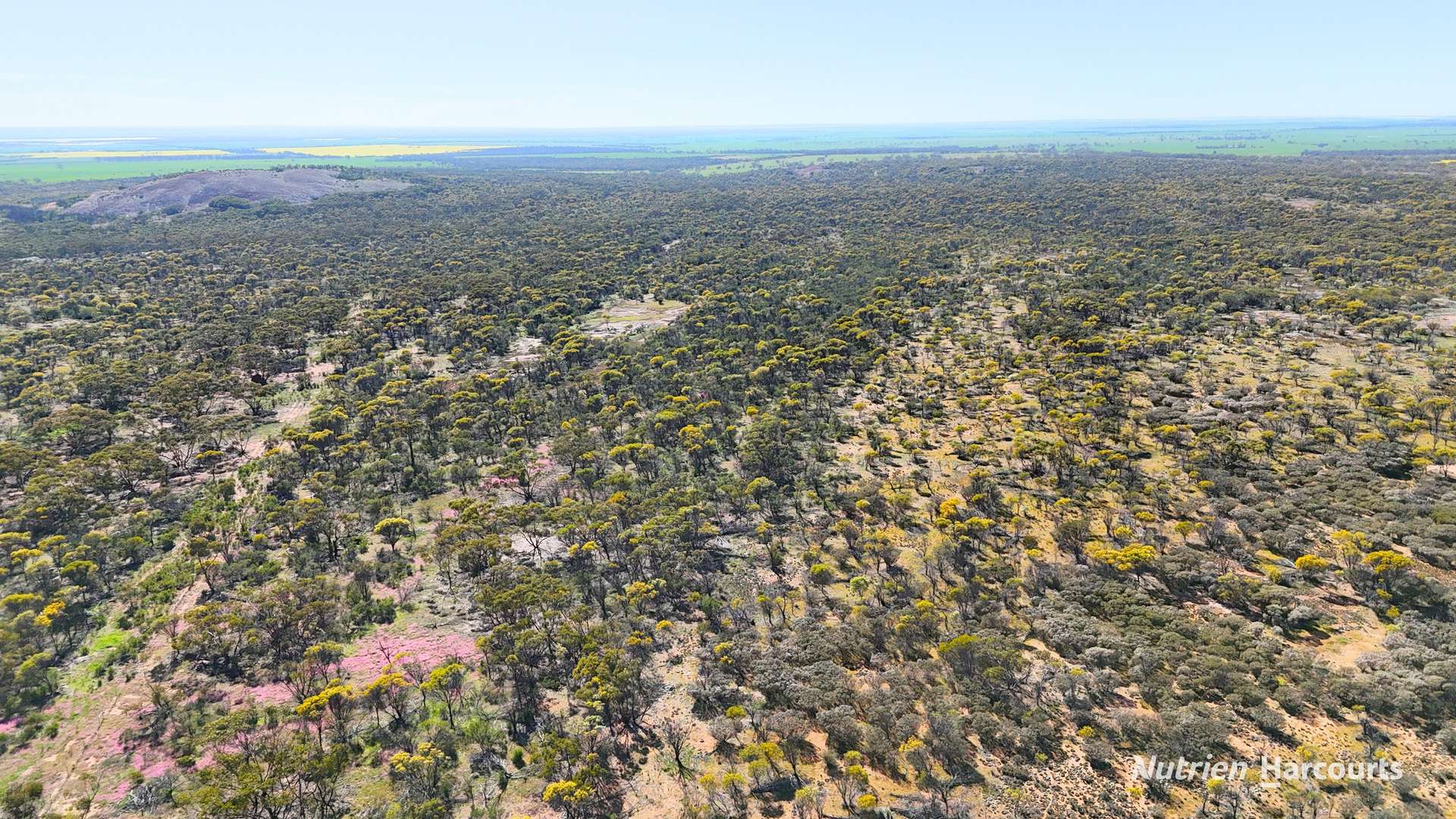 "Bellevue" Lot 14010 Clement Road, Talgomine For Sale by Farmbuy.com - image 5