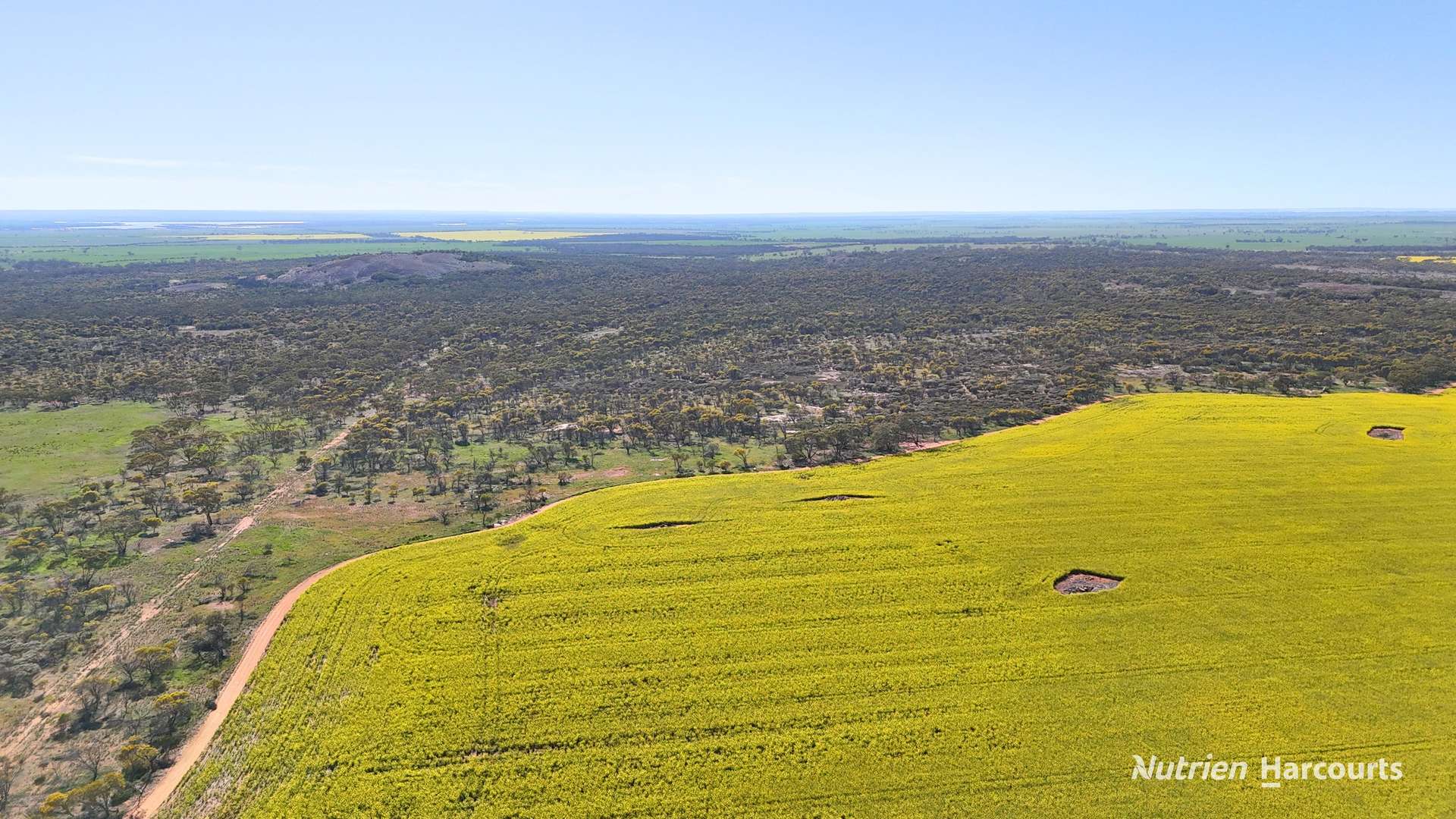 "Bellevue" Lot 14010 Clement Road, Talgomine For Sale by Farmbuy.com - image 4