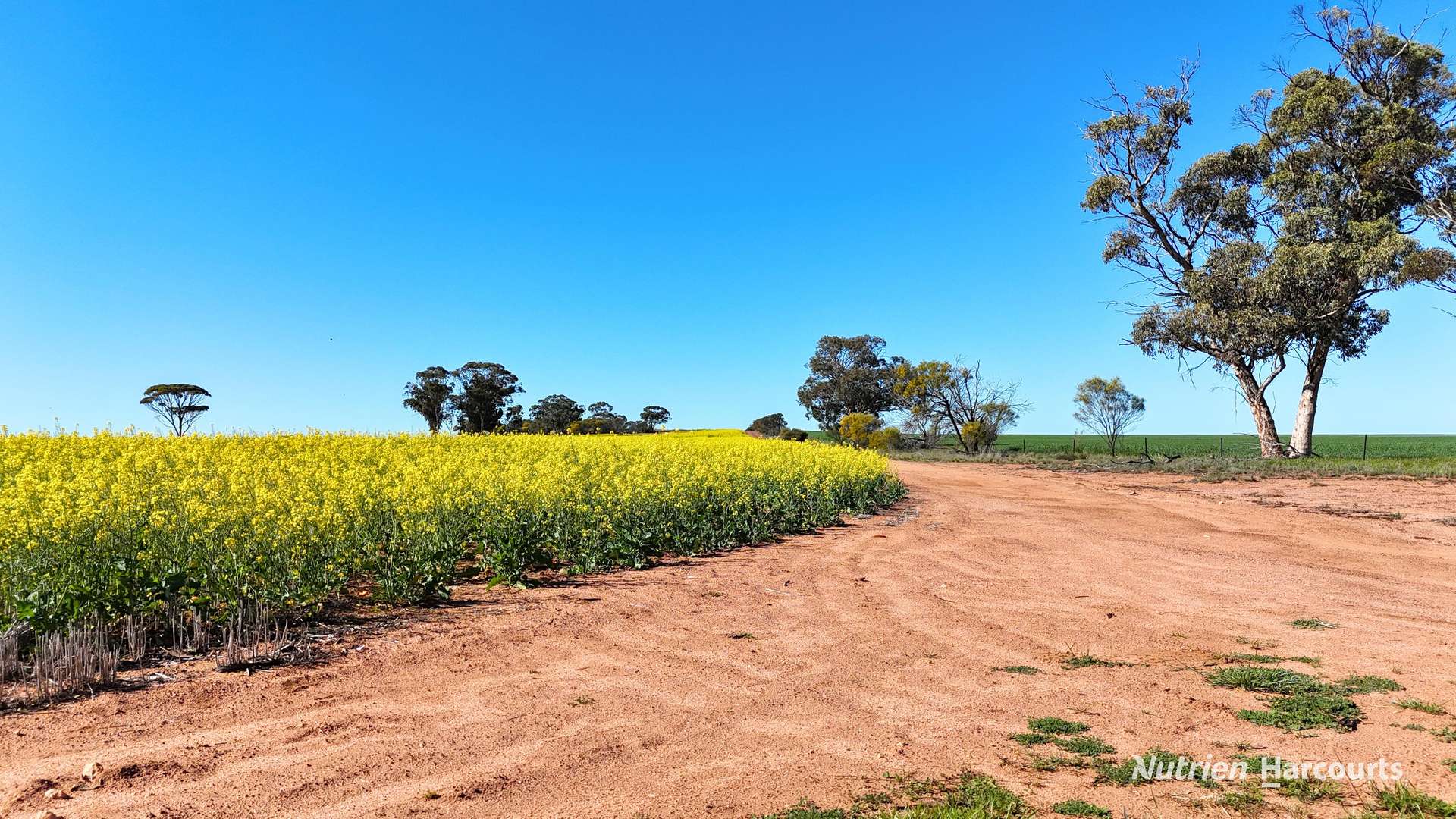 "Bellevue" Lot 14010 Clement Road, Talgomine For Sale by Farmbuy.com - image 26
