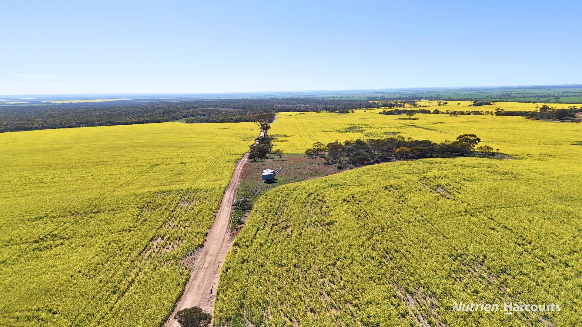 "Bellevue" Lot 14010 Clement Road, Talgomine For Sale by Farmbuy.com - image 21