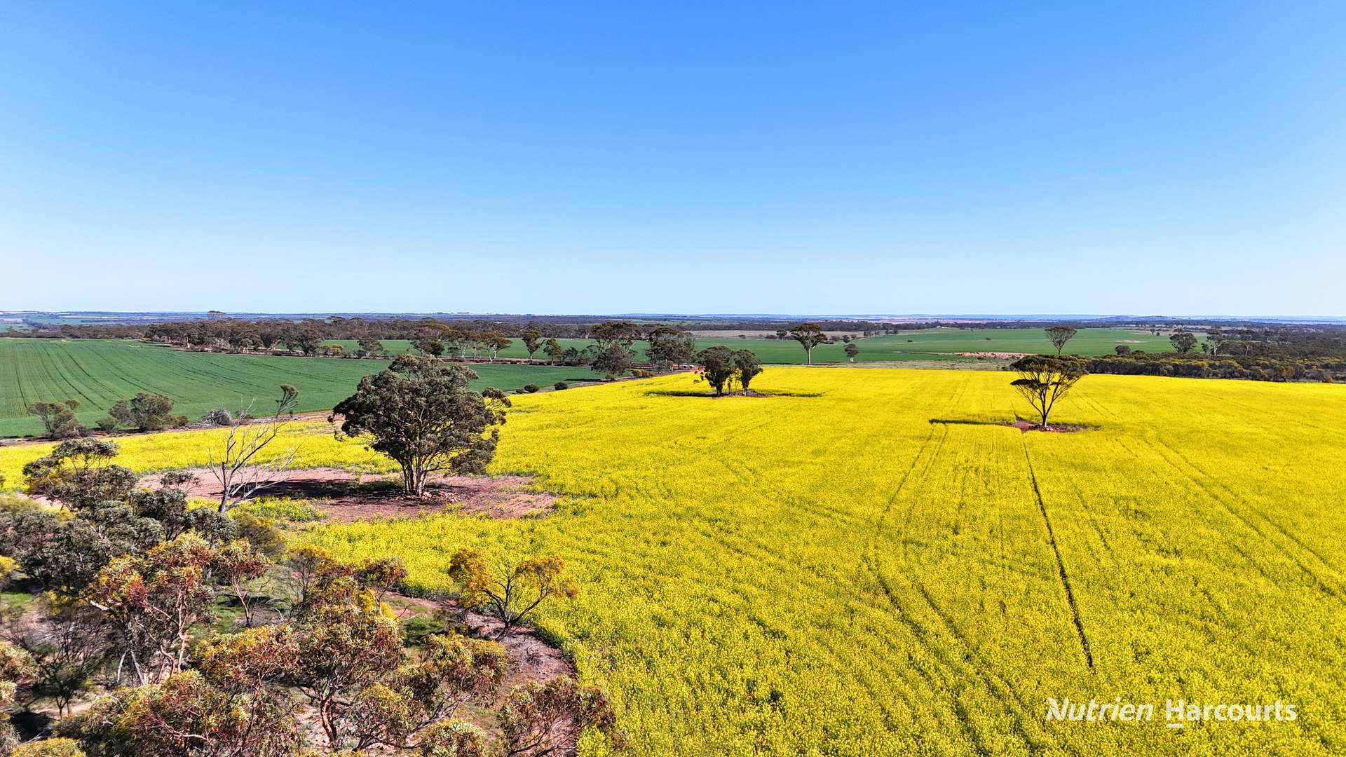 "Bellevue" Lot 14010 Clement Road, Talgomine For Sale by Farmbuy.com - image 23