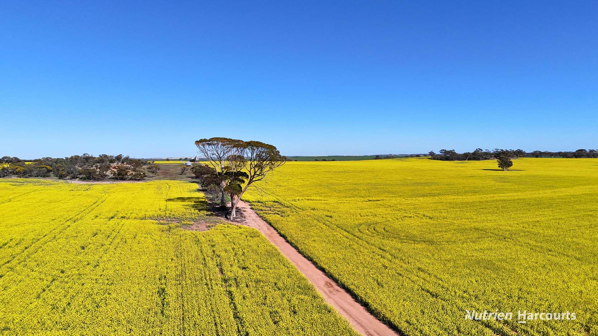 "Bellevue" Lot 14010 Clement Road, Talgomine For Sale by Farmbuy.com - image 18