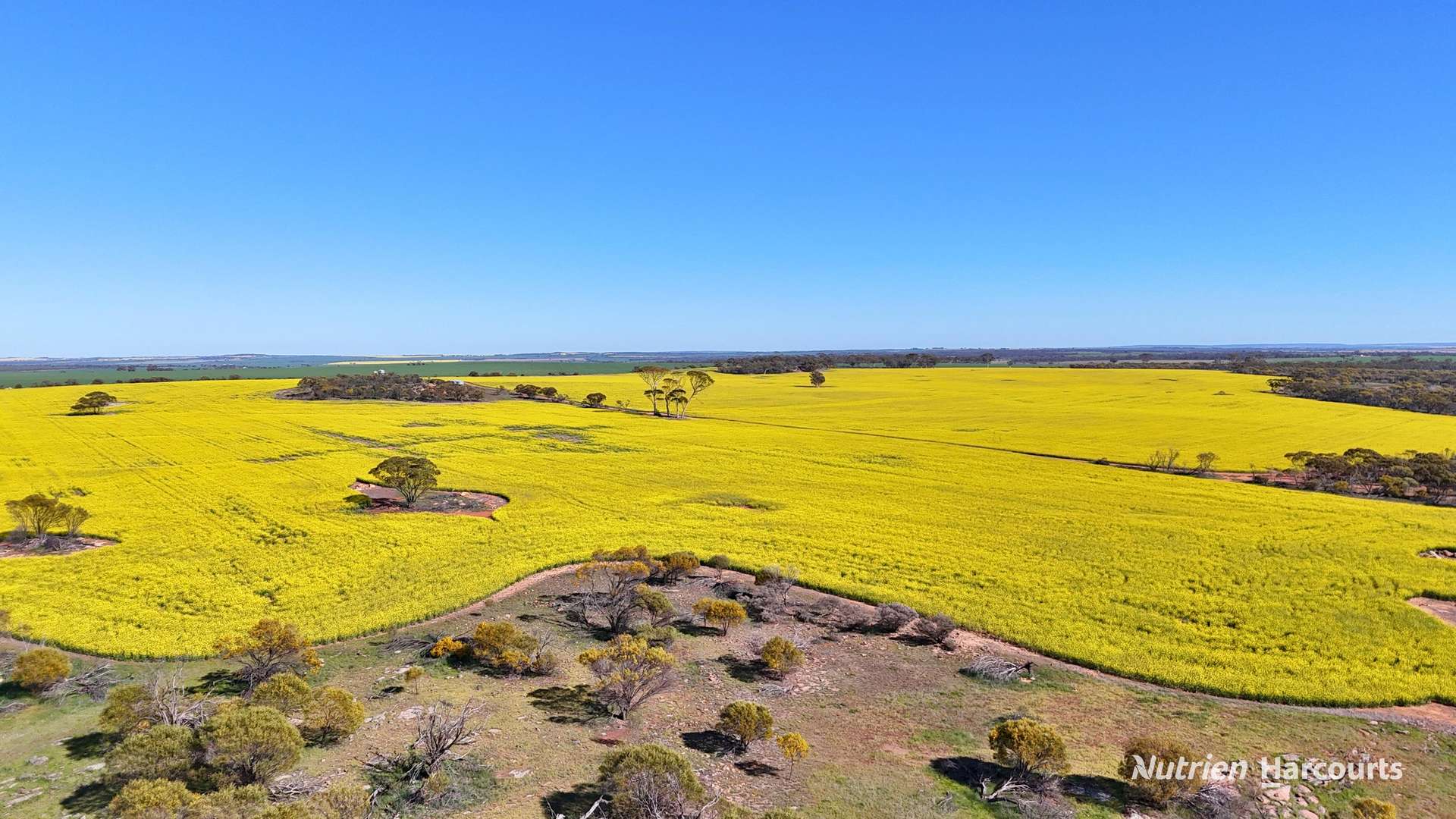 "Bellevue" Lot 14010 Clement Road, Talgomine For Sale by Farmbuy.com - image 17