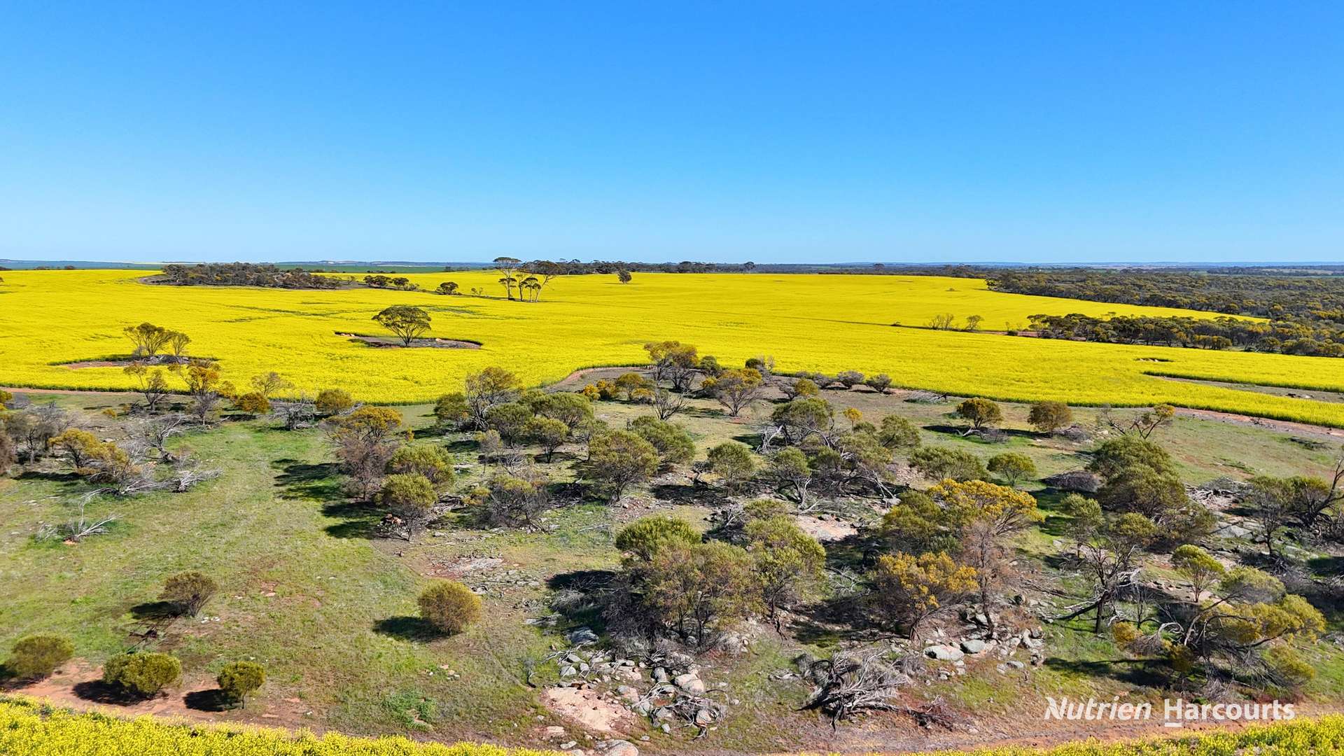 "Bellevue" Lot 14010 Clement Road, Talgomine For Sale by Farmbuy.com - image 15