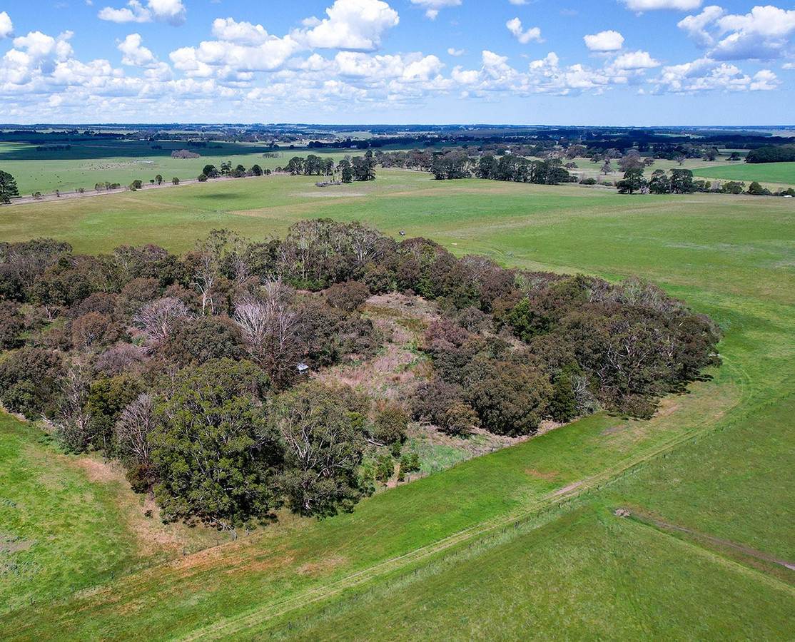 'Mirrimbah' 87 Hamilton-Port Fairy Road, Macarthur For Sale by Farmbuy.com - image 18