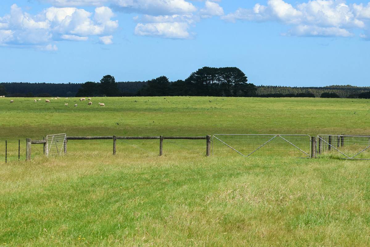 'Mirrimbah' 87 Hamilton-Port Fairy Road, Macarthur For Sale by Farmbuy.com - image 14