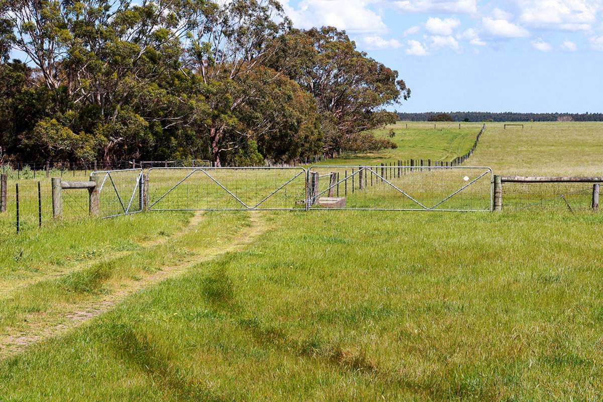 'Mirrimbah' 87 Hamilton-Port Fairy Road, Macarthur For Sale by Farmbuy.com - image 13
