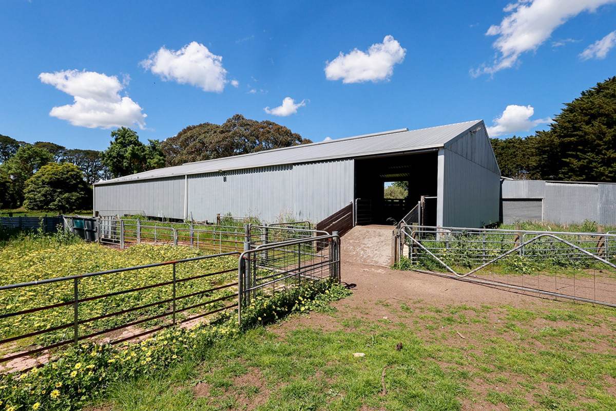 'Mirrimbah' 87 Hamilton-Port Fairy Road, Macarthur For Sale by Farmbuy.com - image 6