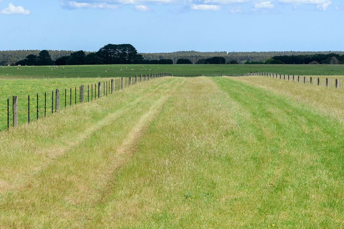 'Mirrimbah' 87 Hamilton-Port Fairy Road, Macarthur For Sale by Farmbuy.com - image 11