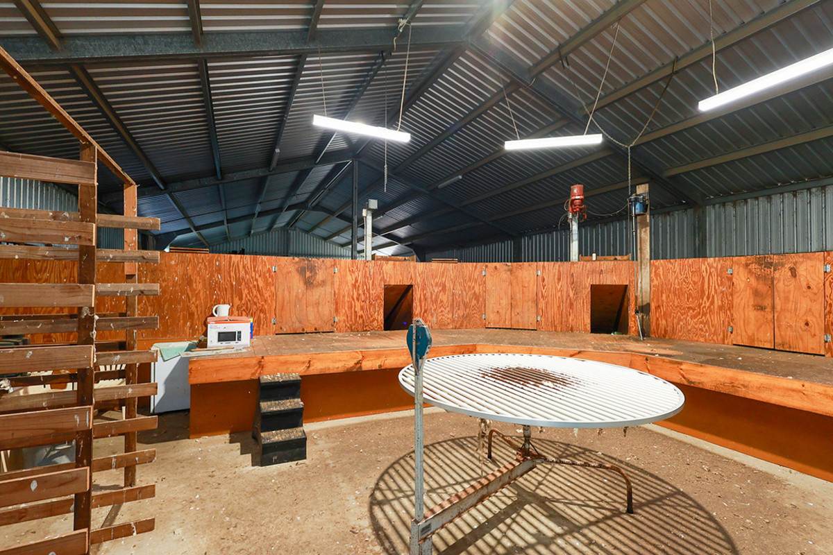 'Mirrimbah' 87 Hamilton-Port Fairy Road, Macarthur For Sale by Farmbuy.com - image 5