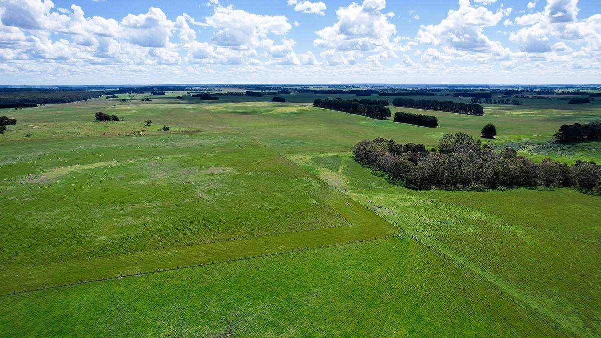 'Mirrimbah' 87 Hamilton-Port Fairy Road, Macarthur For Sale by Farmbuy.com - image 24