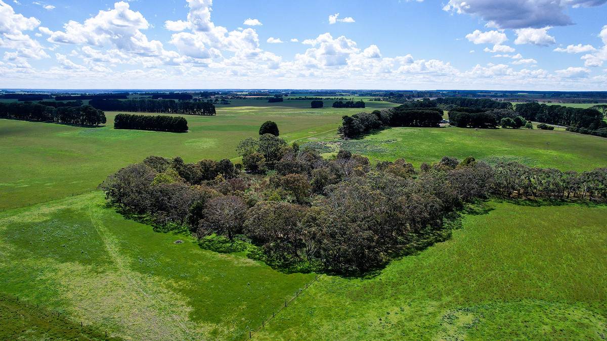 'Mirrimbah' 87 Hamilton-Port Fairy Road, Macarthur For Sale by Farmbuy.com - image 20