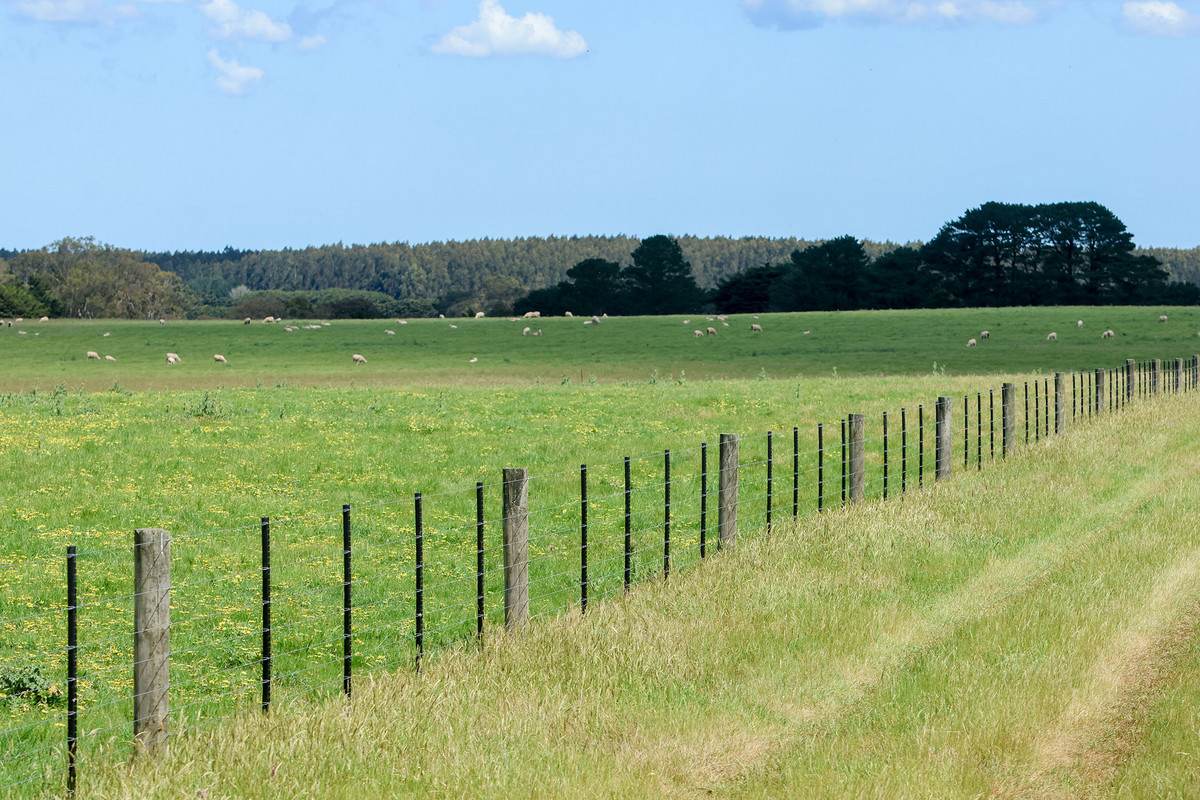 'Mirrimbah' 87 Hamilton-Port Fairy Road, Macarthur For Sale by Farmbuy.com - image 12