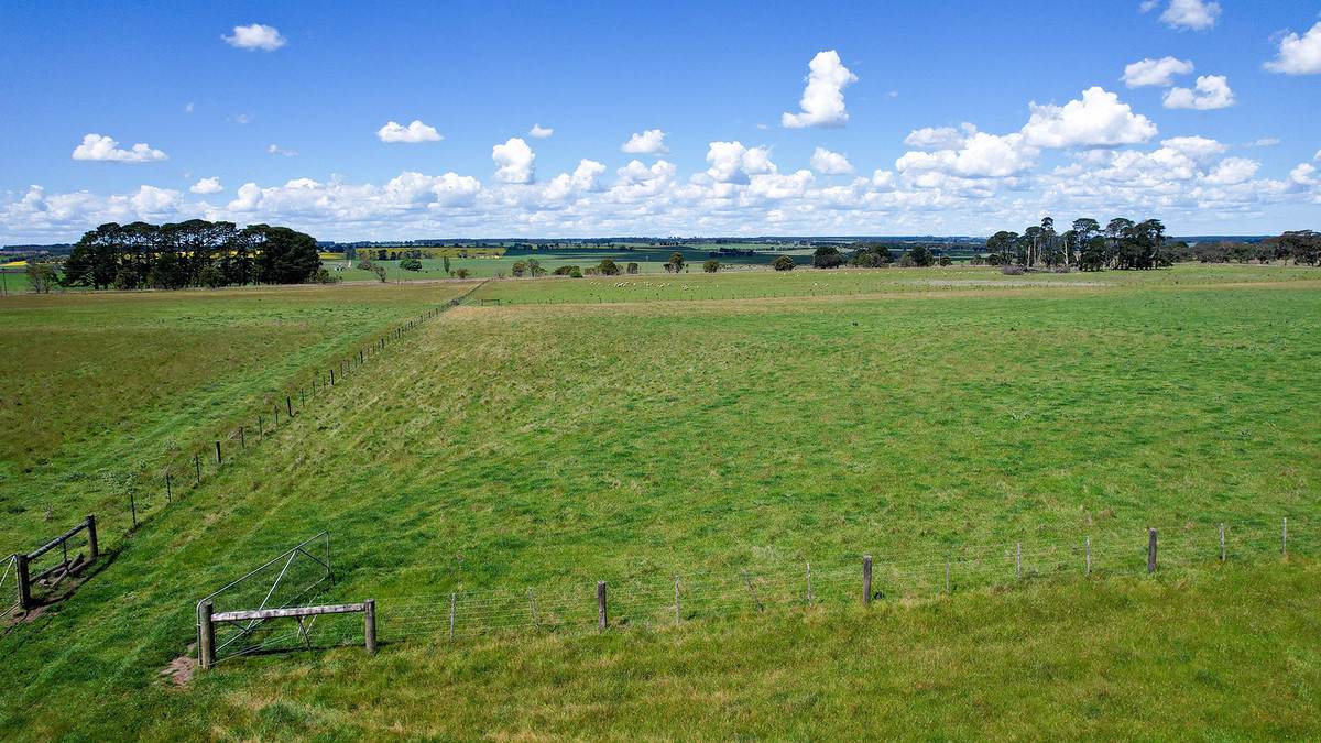 'Mirrimbah' 87 Hamilton-Port Fairy Road, Macarthur For Sale by Farmbuy.com - image 23
