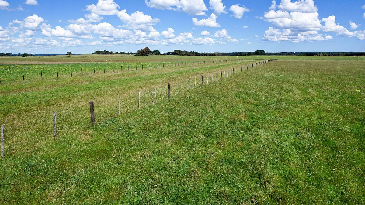 'Mirrimbah' 87 Hamilton-Port Fairy Road, Macarthur For Sale by Farmbuy.com - image 22