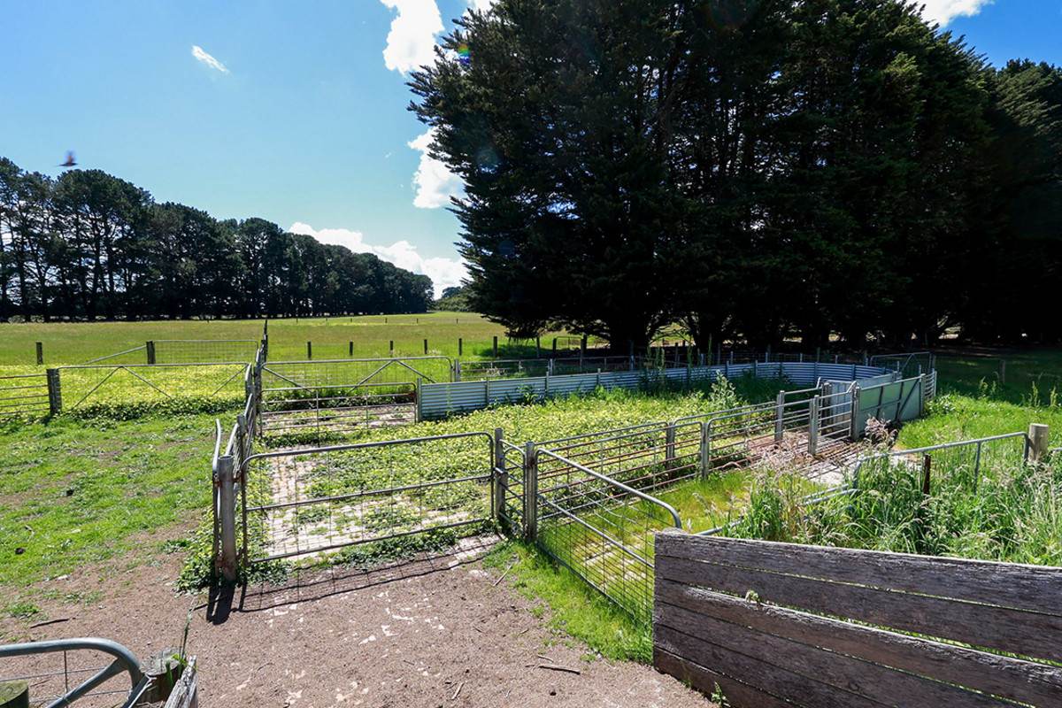 'Mirrimbah' 87 Hamilton-Port Fairy Road, Macarthur For Sale by Farmbuy.com - image 7