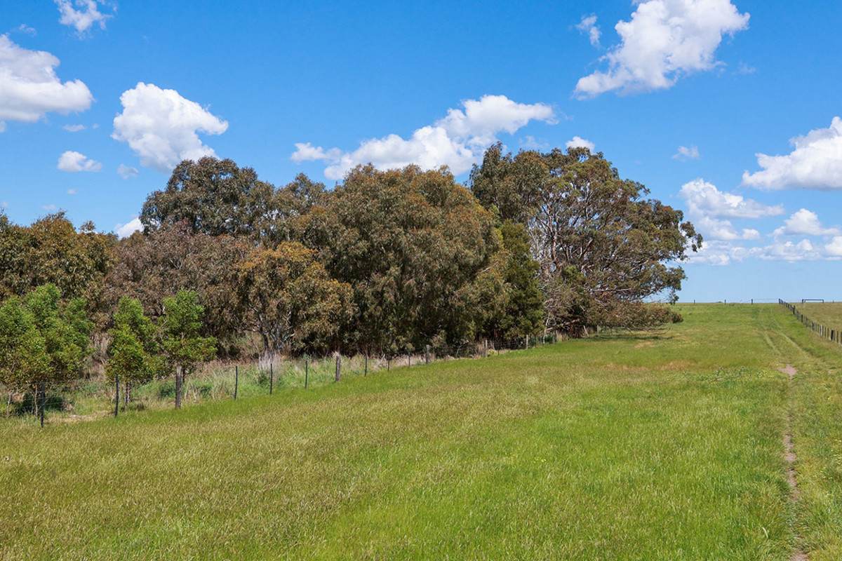 'Mirrimbah' 87 Hamilton-Port Fairy Road, Macarthur For Sale by Farmbuy.com - image 19