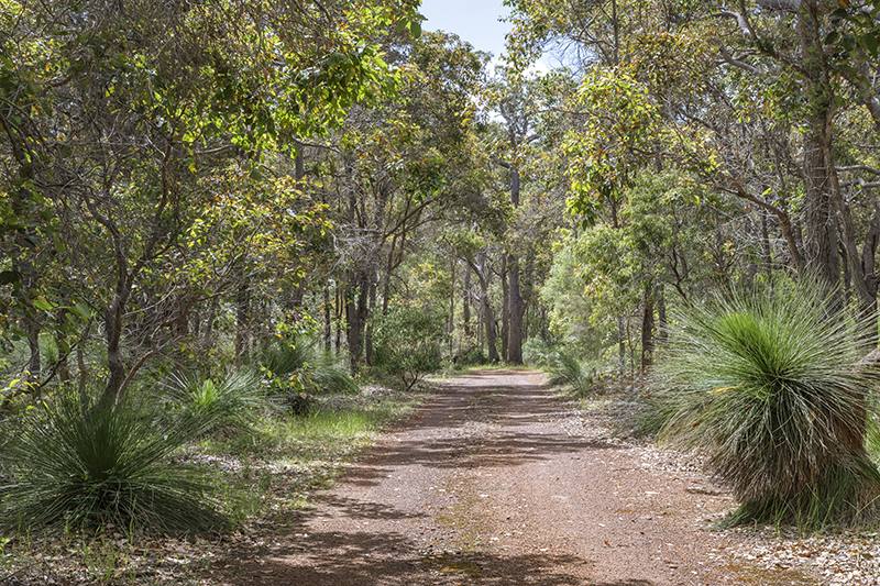 7 Sequoia Court, Margaret River For Sale by Farmbuy.com - image 18