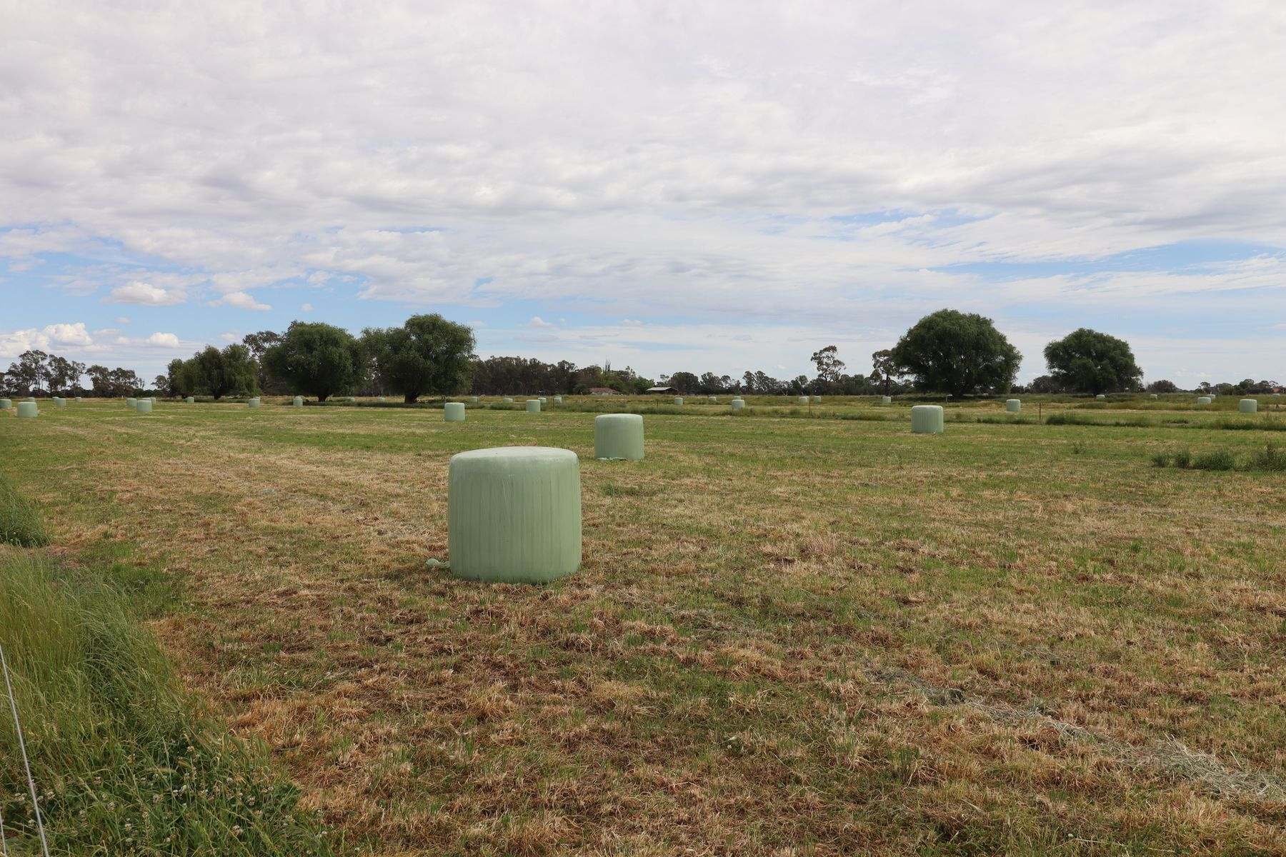 369 Leitchville-Pyramid Road, Leitchville For Sale by Farmbuy.com - image 15