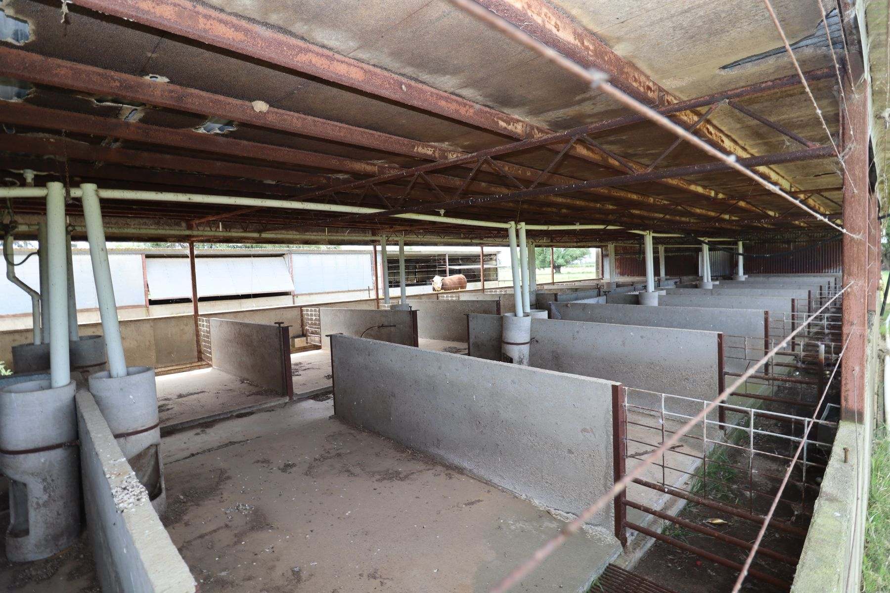 369 Leitchville-Pyramid Road, Leitchville For Sale by Farmbuy.com - image 21