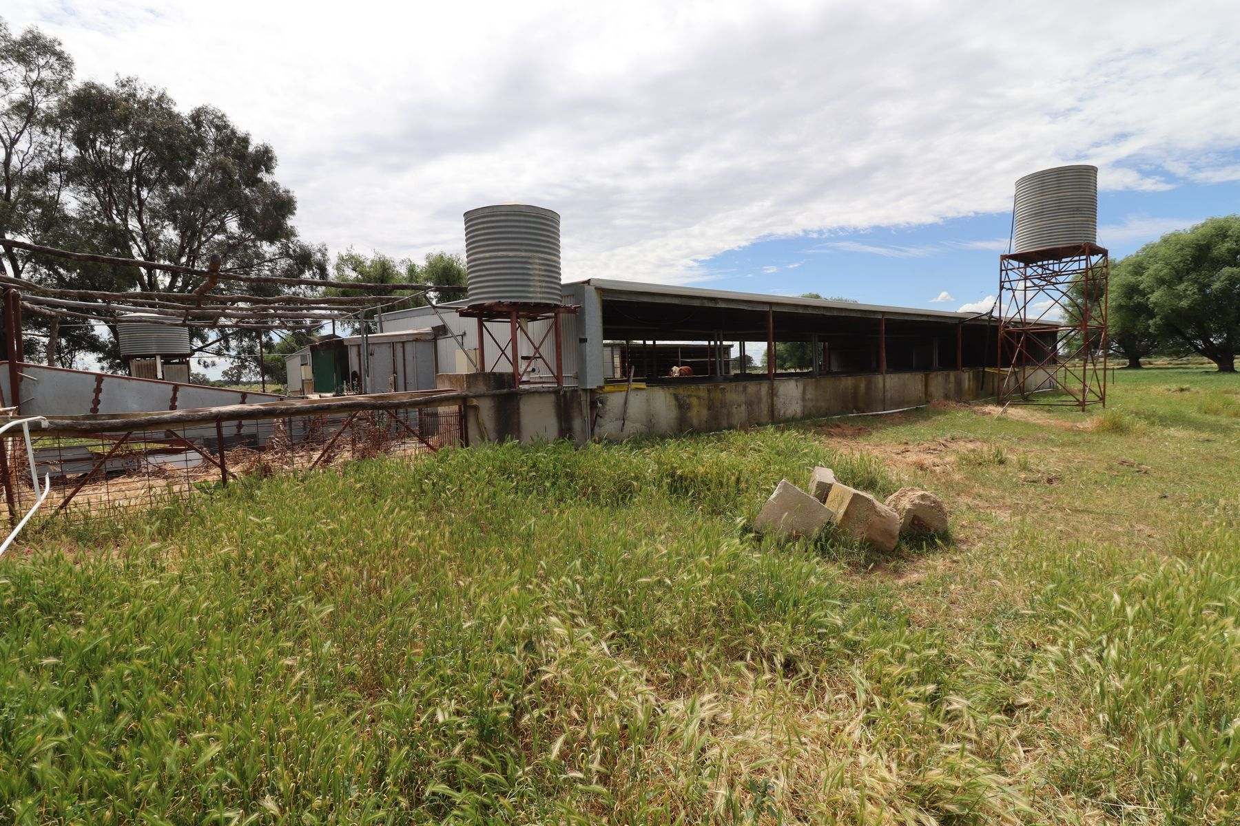 369 Leitchville-Pyramid Road, Leitchville For Sale by Farmbuy.com - image 20