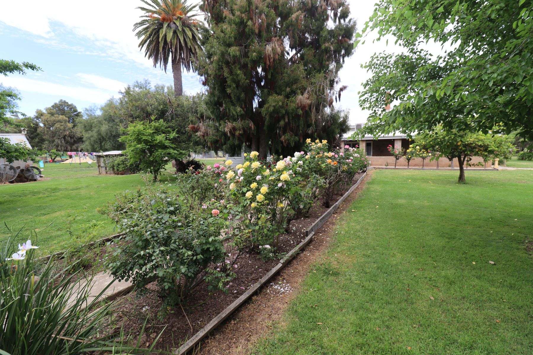 369 Leitchville-Pyramid Road, Leitchville For Sale by Farmbuy.com - image 3