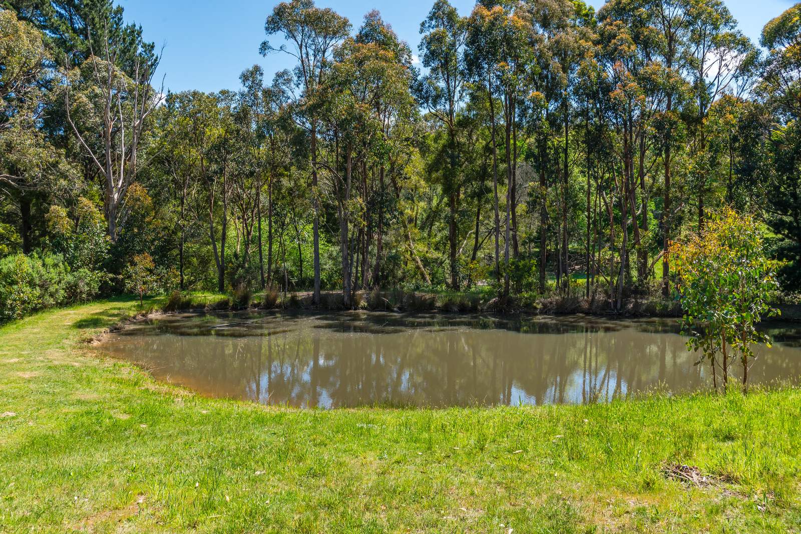 10 Montague Street, Macedon For Sale by Farmbuy.com - image 23