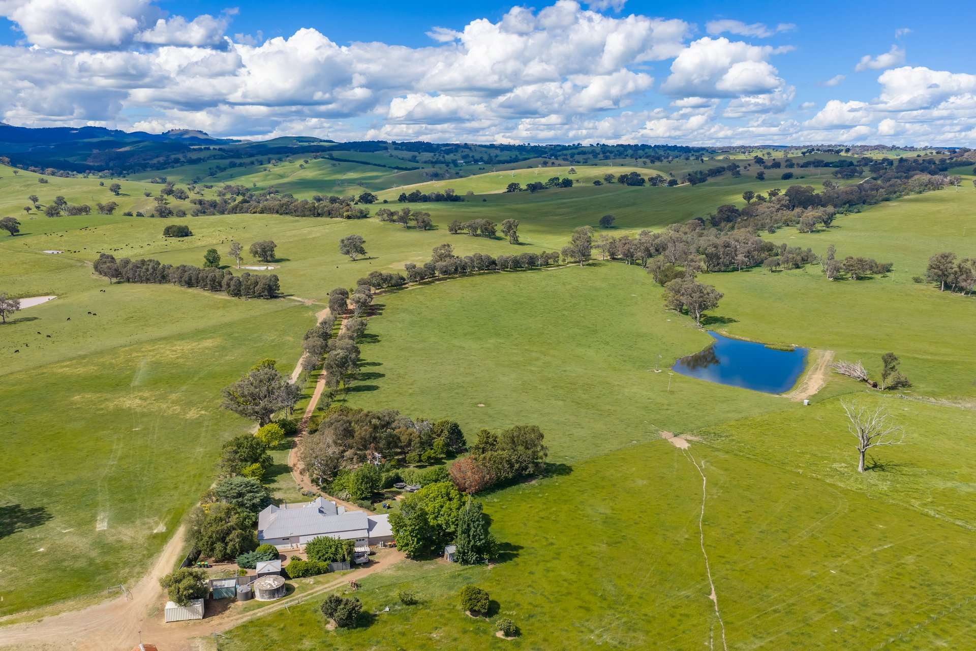 229 Wallaces Lane, Panuara Auction by Farmbuy.com - image 20