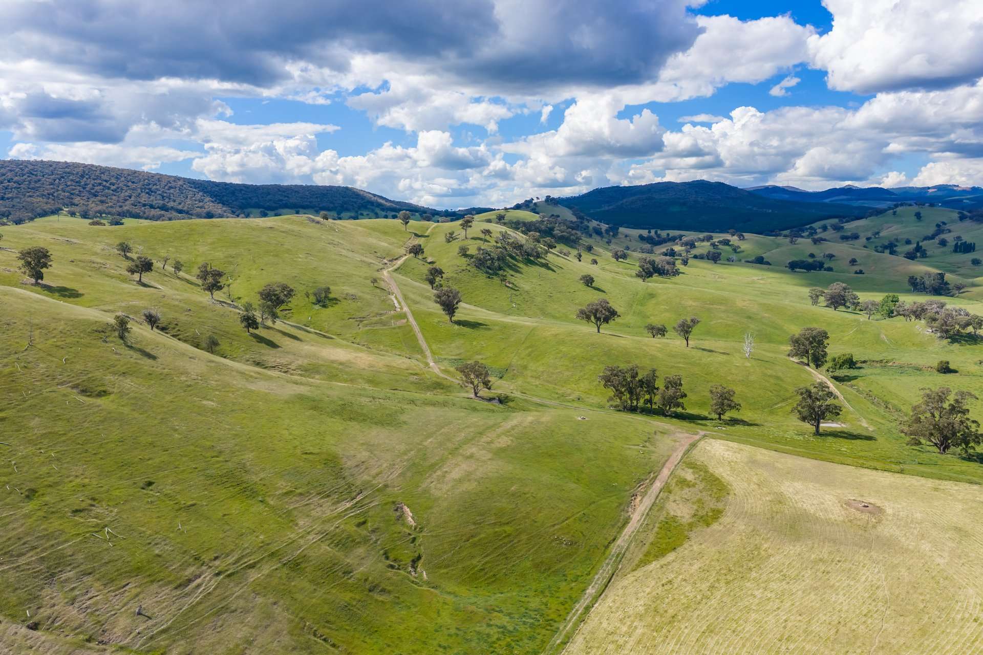 229 Wallaces Lane, Panuara Auction by Farmbuy.com - image 17