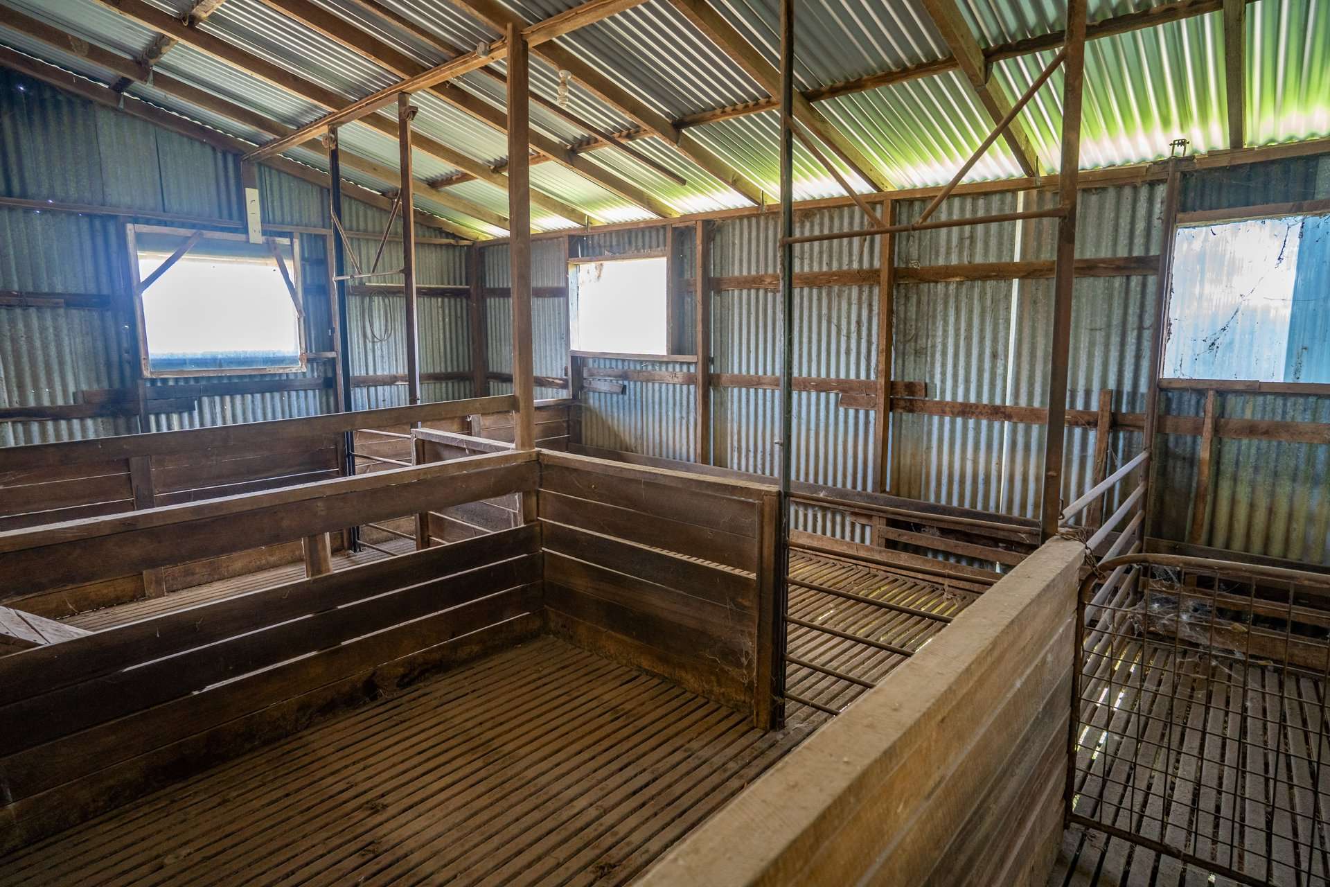 229 Wallaces Lane, Panuara Auction by Farmbuy.com - image 15