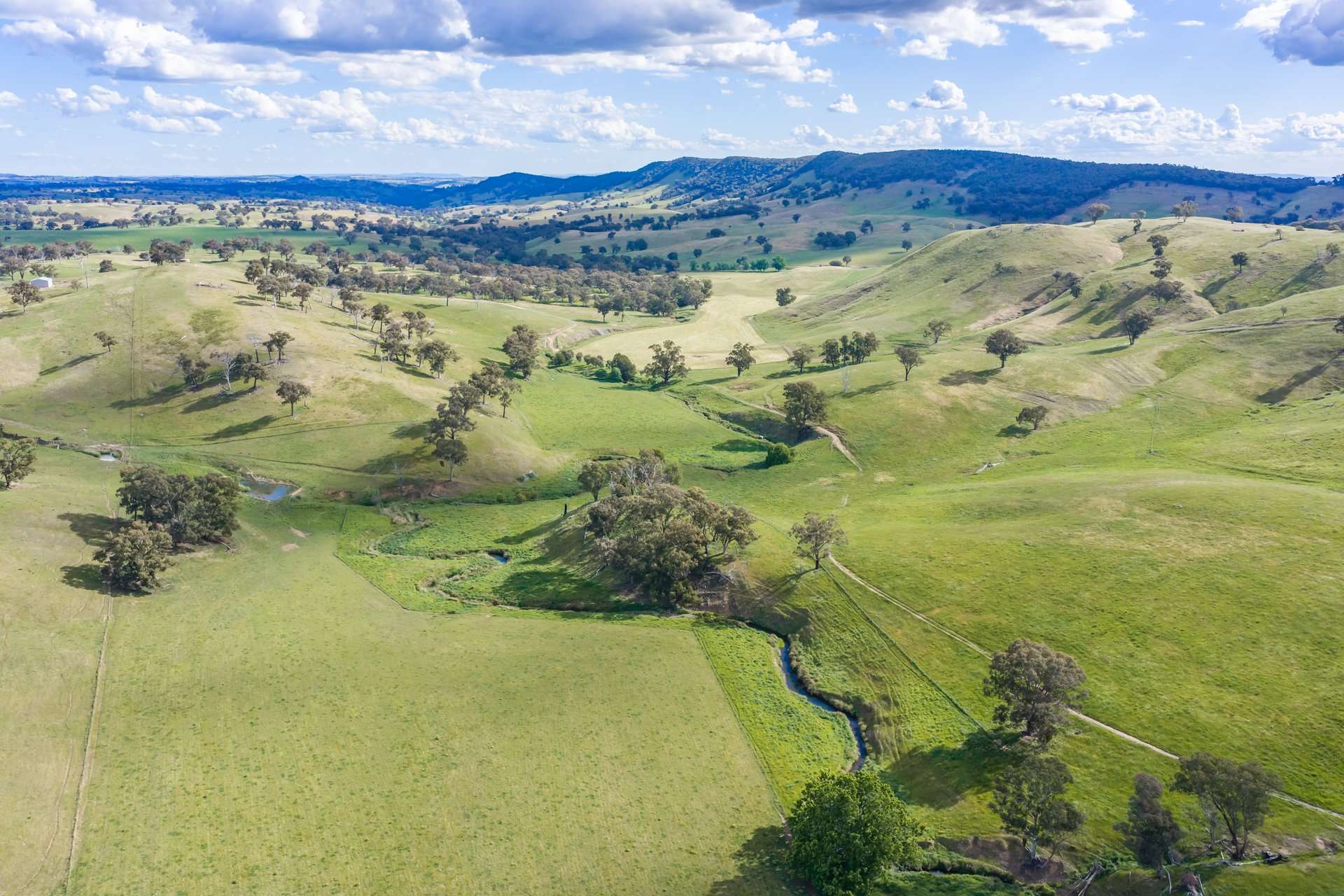229 Wallaces Lane, Panuara Auction by Farmbuy.com - image 27