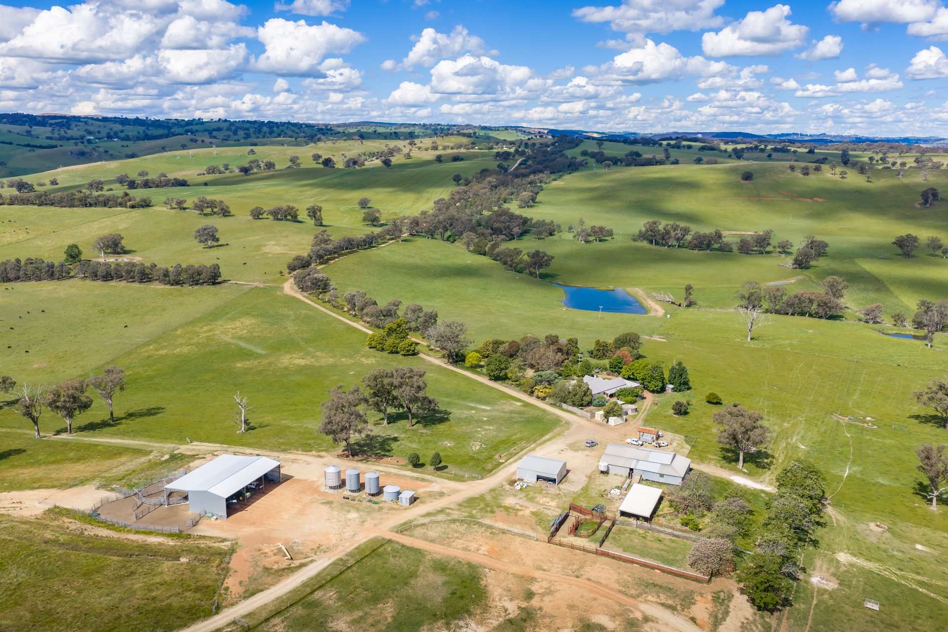 229 Wallaces Lane, Panuara Auction by Farmbuy.com - image 2