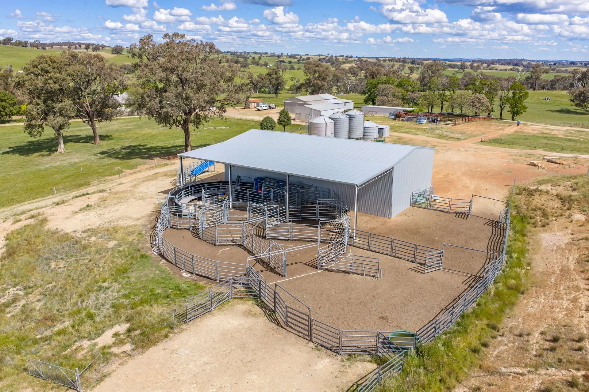 229 Wallaces Lane, Panuara Auction by Farmbuy.com - image 12