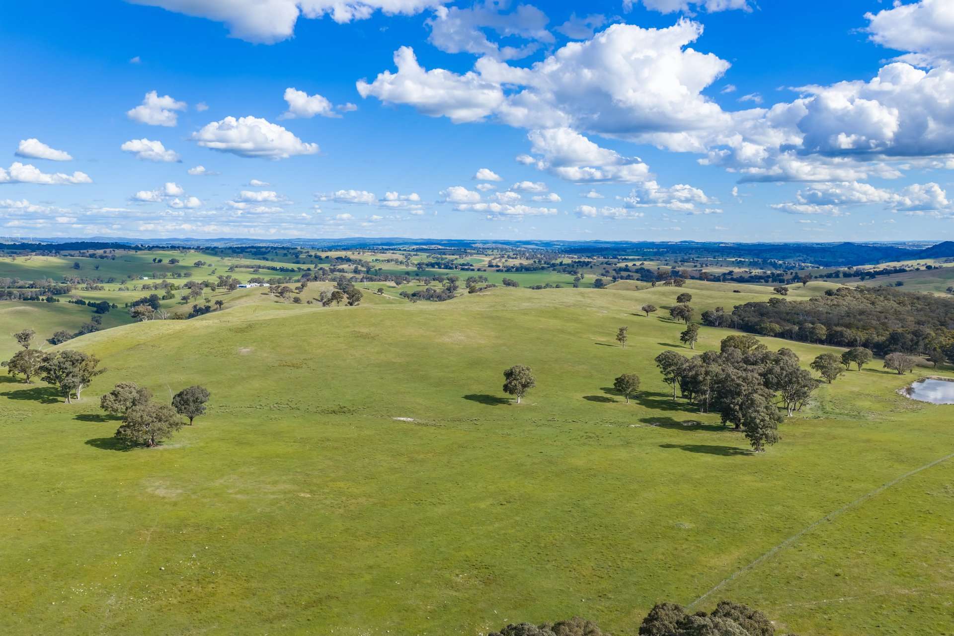 229 Wallaces Lane, Panuara Auction by Farmbuy.com - image 28