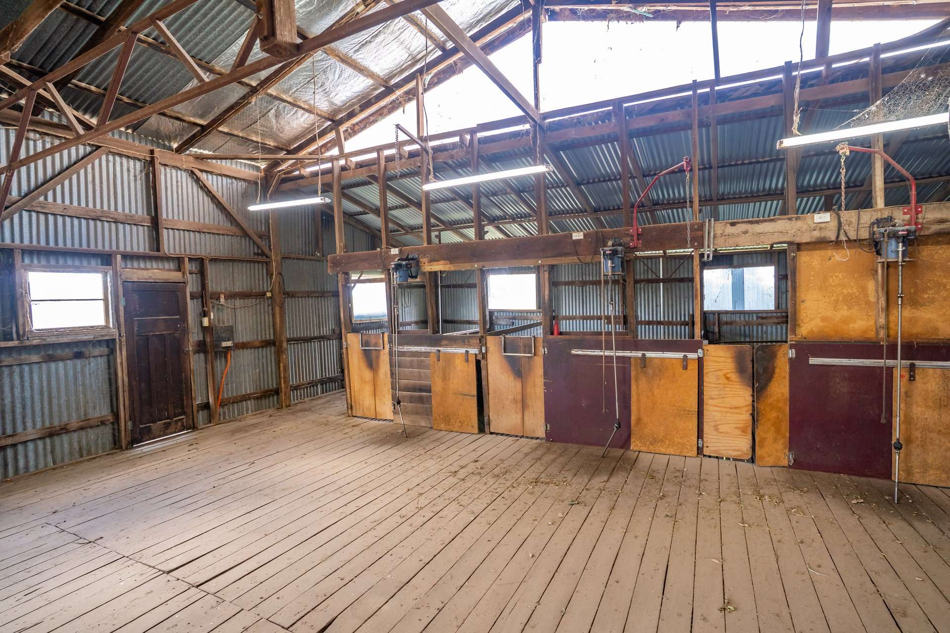 229 Wallaces Lane, Panuara Auction by Farmbuy.com - image 13