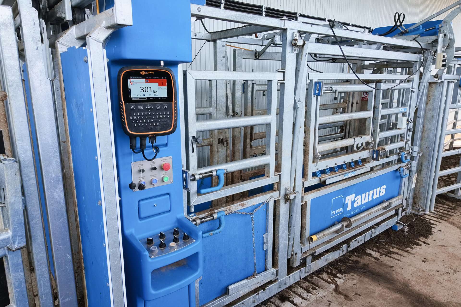 229 Wallaces Lane, Panuara Auction by Farmbuy.com - image 9