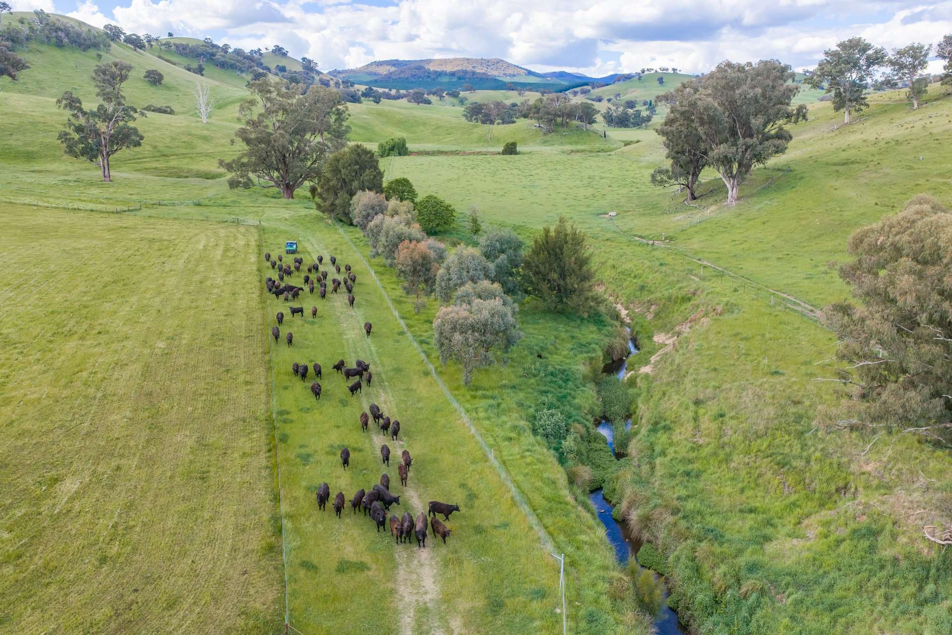 229 Wallaces Lane, Panuara Auction by Farmbuy.com - image 6