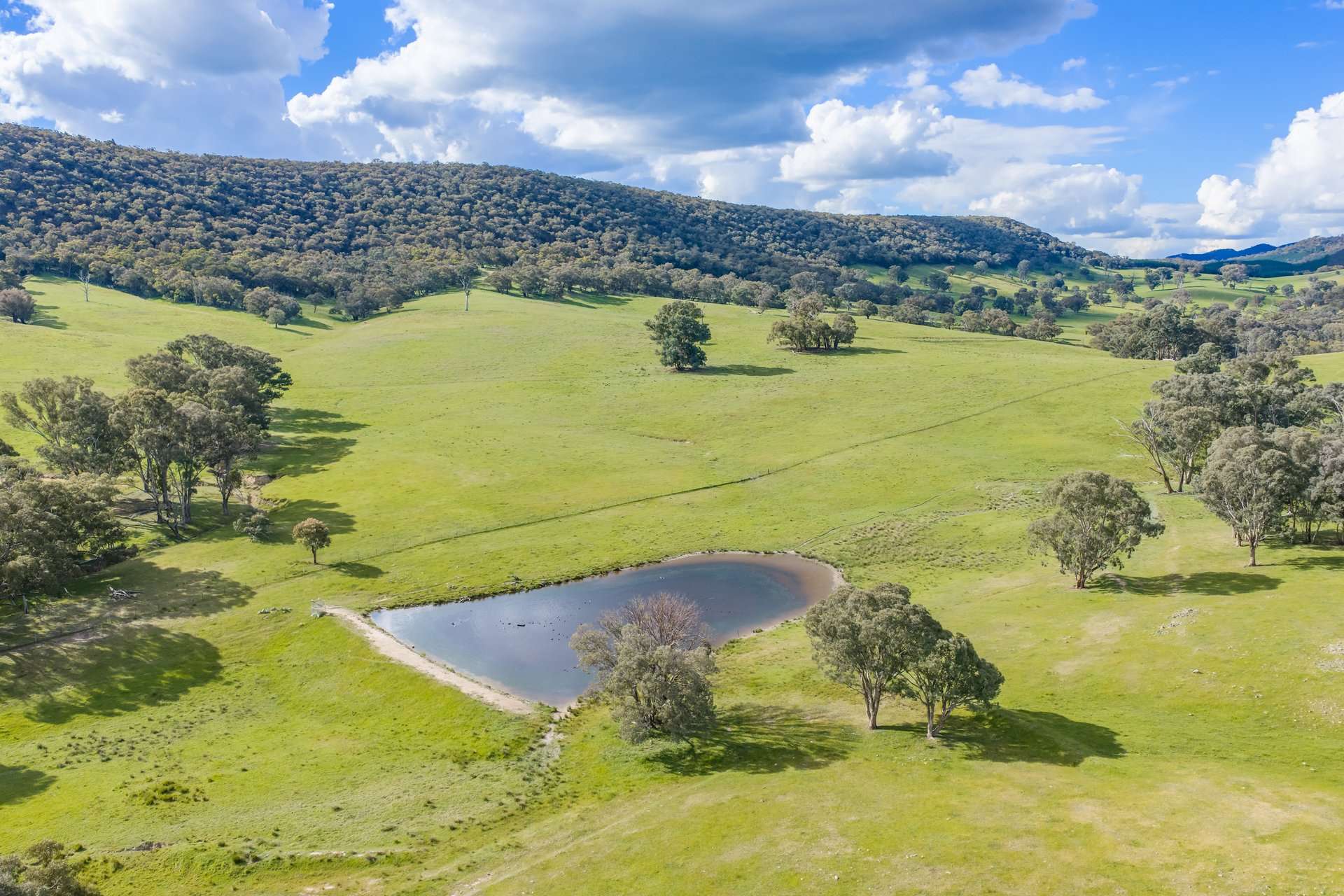 229 Wallaces Lane, Panuara Auction by Farmbuy.com - image 29