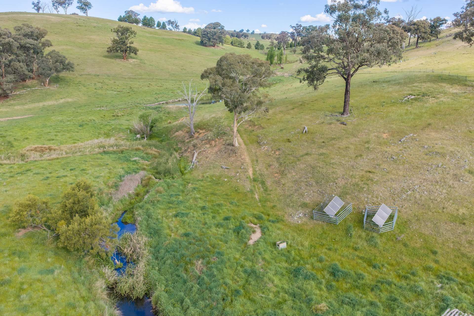 229 Wallaces Lane, Panuara Auction by Farmbuy.com - image 31