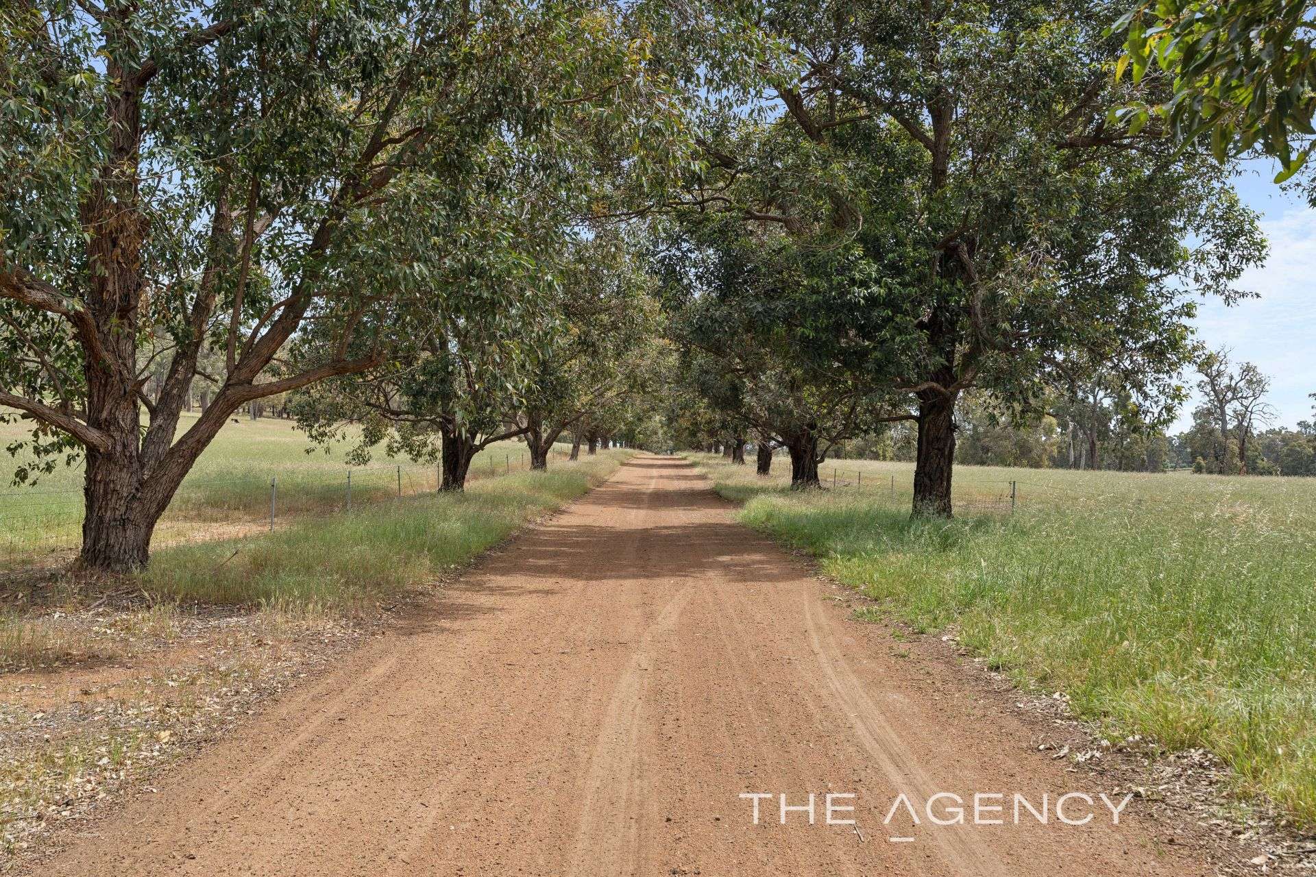 262 Tarrup Street, Gidgegannup For Sale by Farmbuy.com - image 4