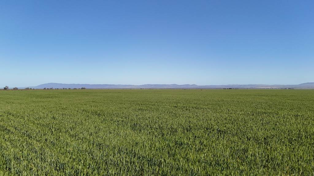 'Forbes's' Wilmington Road, Hammond SA 5431