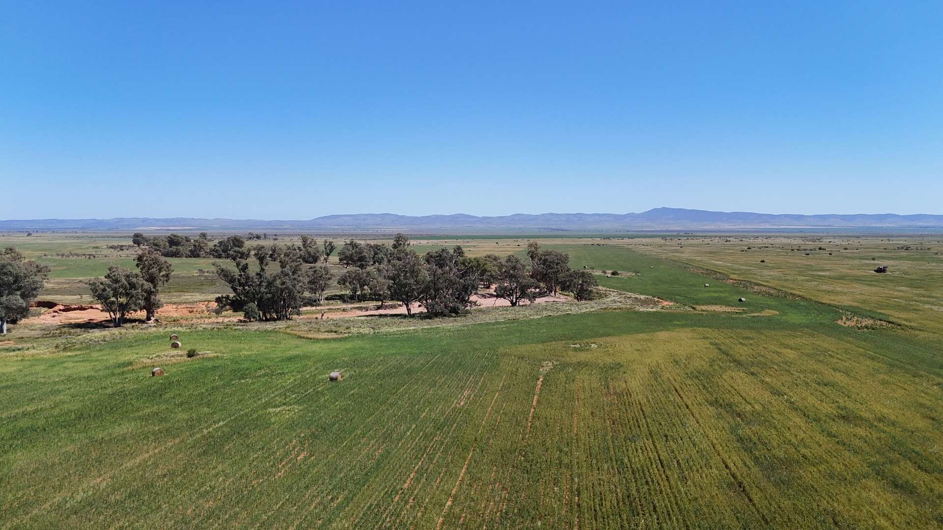 'Forbes's' Wilmington Road, Hammond For Sale by Farmbuy.com - image 16