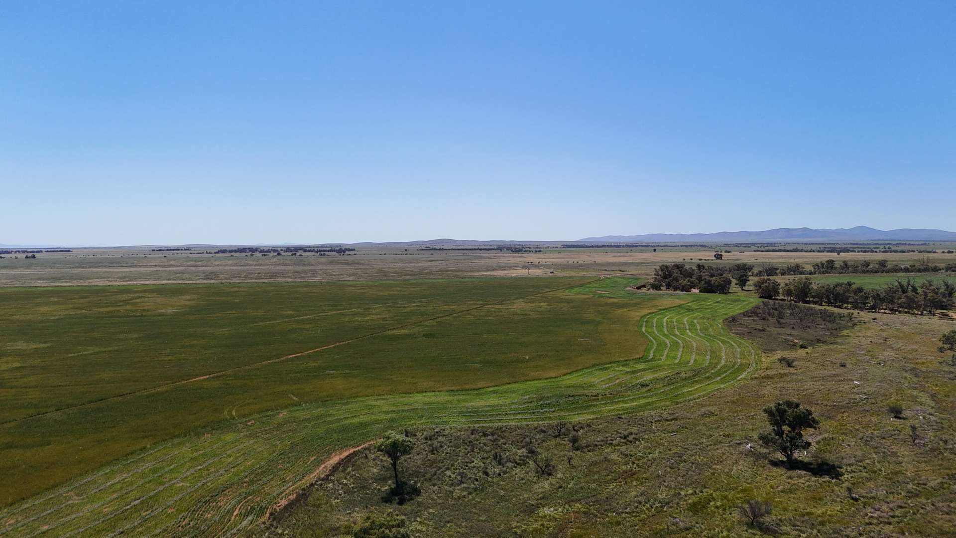 'Forbes's' Wilmington Road, Hammond For Sale by Farmbuy.com - image 15