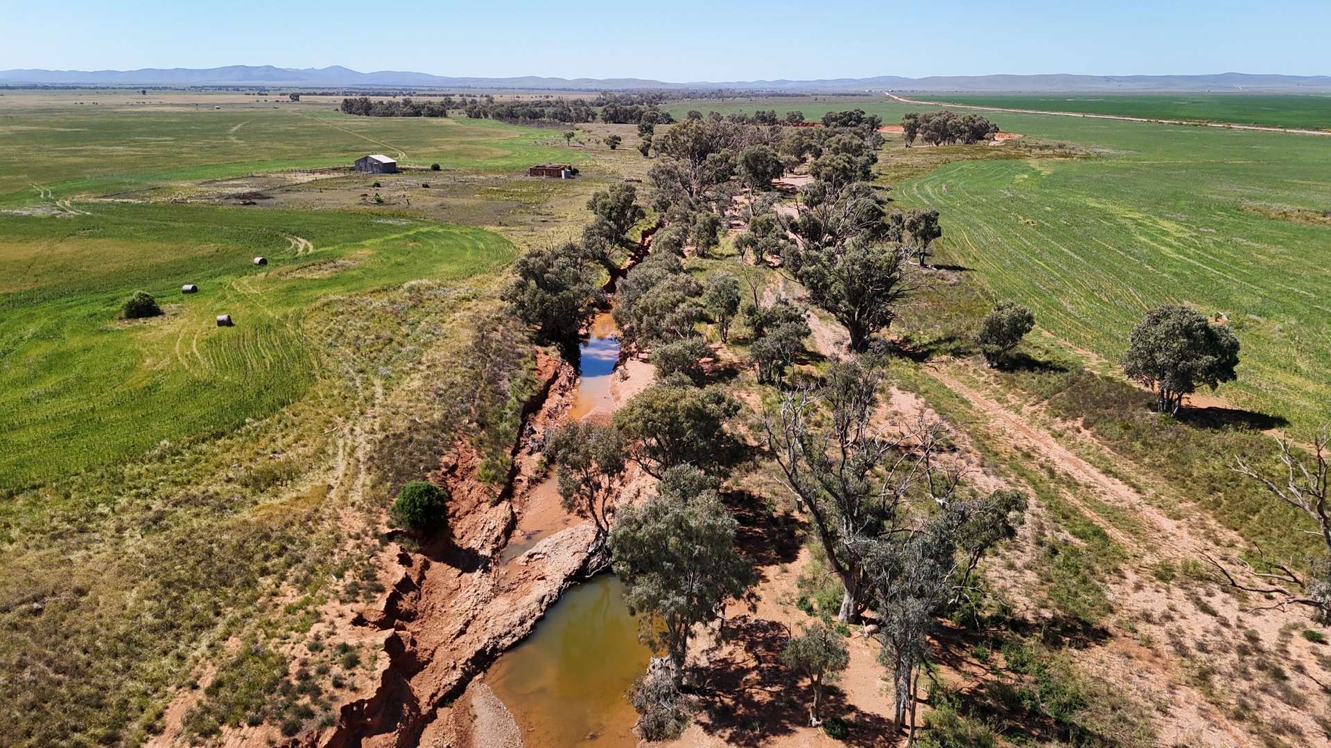 'Forbes's' Wilmington Road, Hammond For Sale by Farmbuy.com - image 13