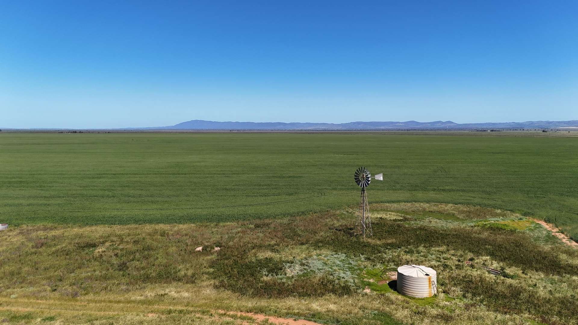 'Forbes's' Wilmington Road, Hammond For Sale by Farmbuy.com - image 4