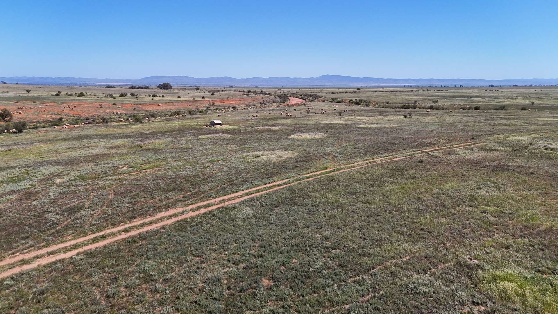 'Forbes's' Wilmington Road, Hammond For Sale by Farmbuy.com - image 6