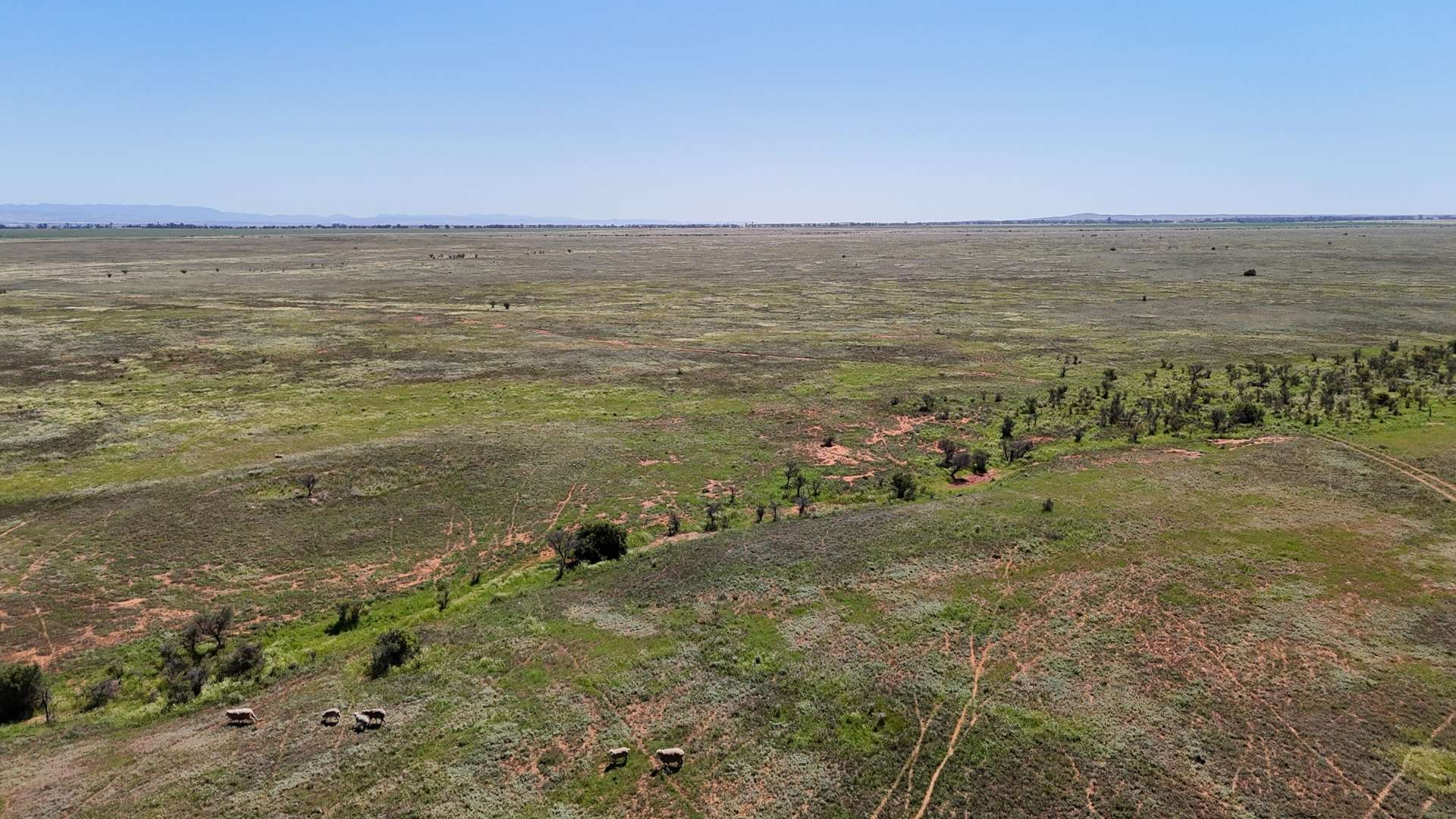'Forbes's' Wilmington Road, Hammond For Sale by Farmbuy.com - image 9