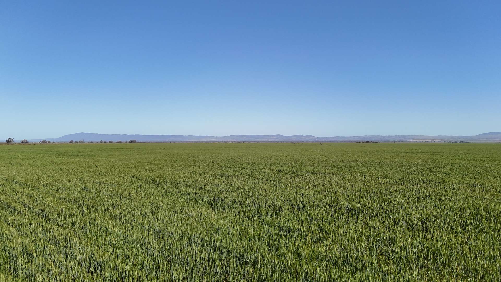 'Forbes's' Wilmington Road, Hammond For Sale by Farmbuy.com - image 1